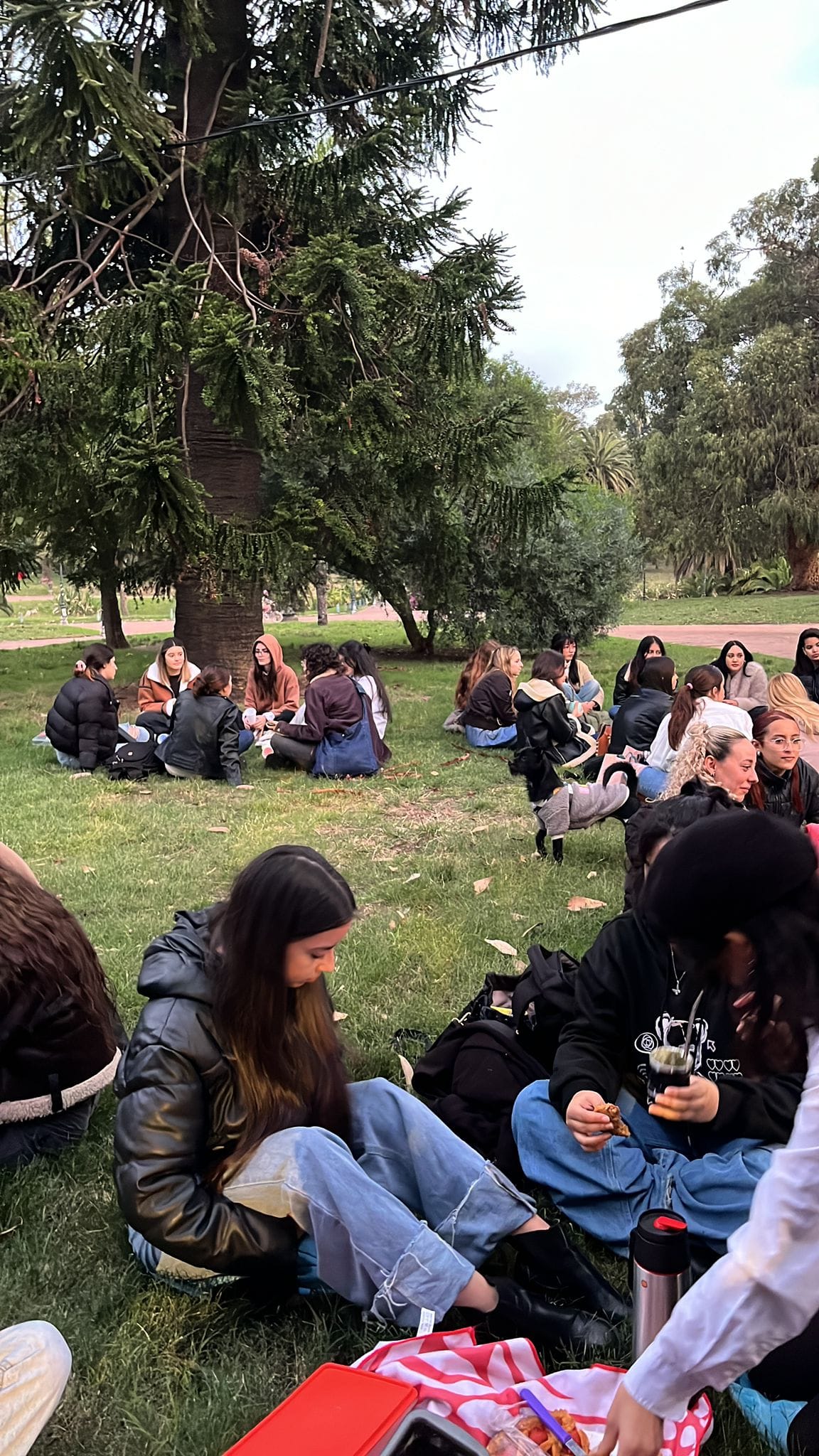 Juntada de chicas de TNYUT